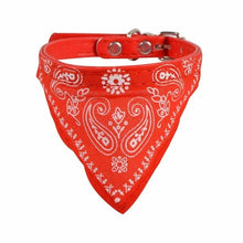 Load image into Gallery viewer, Cute Fashionable Adjustable Scarf Bandana Collar. Perfect the pal look scarf
