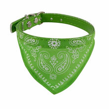 Load image into Gallery viewer, Cute Fashionable Adjustable Scarf Bandana Collar. Perfect the pal look scarf
