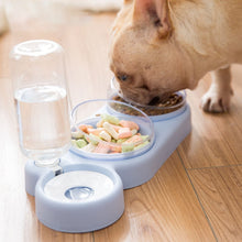 Load image into Gallery viewer, Double Pet Bowls  For Food And  Water with Auto Water Dispenser
