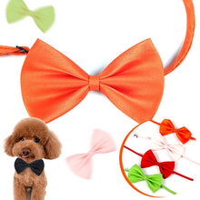 Load image into Gallery viewer, Social Media Celebrity Look For Your Dog And Cat. Cutie Bow Look Finisher
